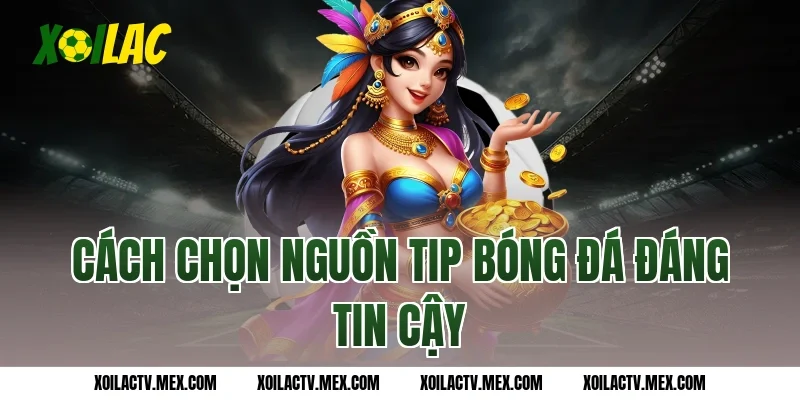Cách chọn nguồn tip bóng đá đáng tin cậy