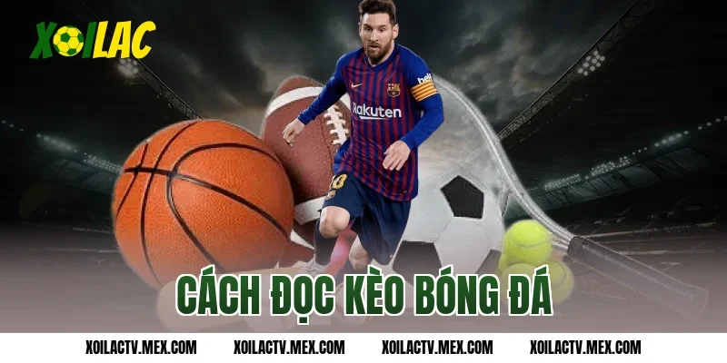 Cách đọc kèo bóng đá chuẩn chỉ và chính xác cho hội viên