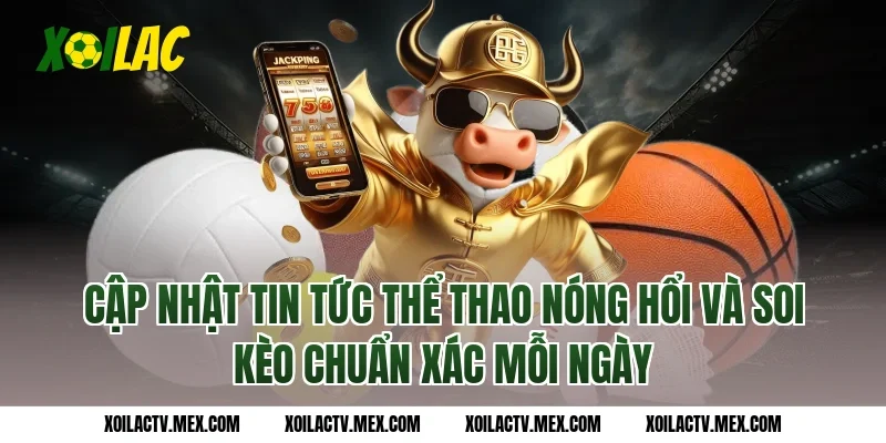 Cập nhật tin tức thể thao nóng hổi và soi kèo chuẩn xác mỗi ngày