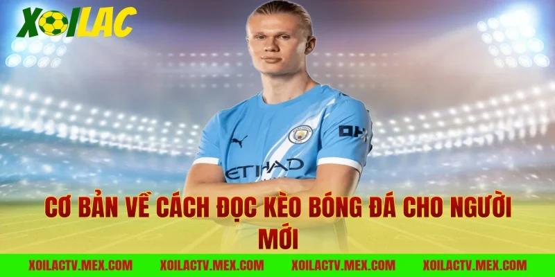 Cơ bản về cách đọc kèo bóng đá cho người mới
