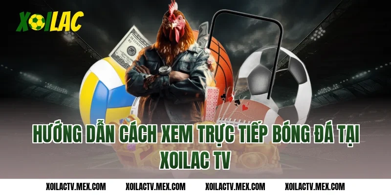 Hướng dẫn cách xem trực tiếp bóng đá tại Xoilac TV