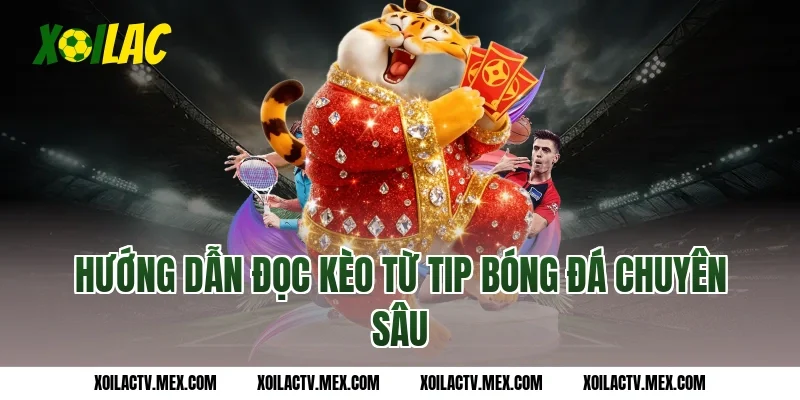 Hướng dẫn đọc kèo từ tip bóng đá chuyên sâu