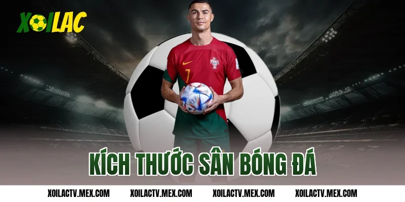 Kích thước sân bóng đá 11 người theo tiêu chuẩn FIFA