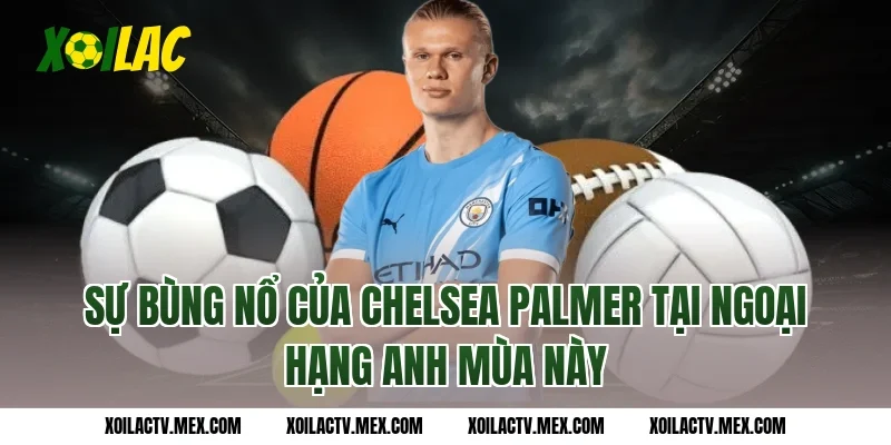 Sự Bùng Nổ Của Chelsea Palmer Tại Ngoại Hạng Anh Mùa Này