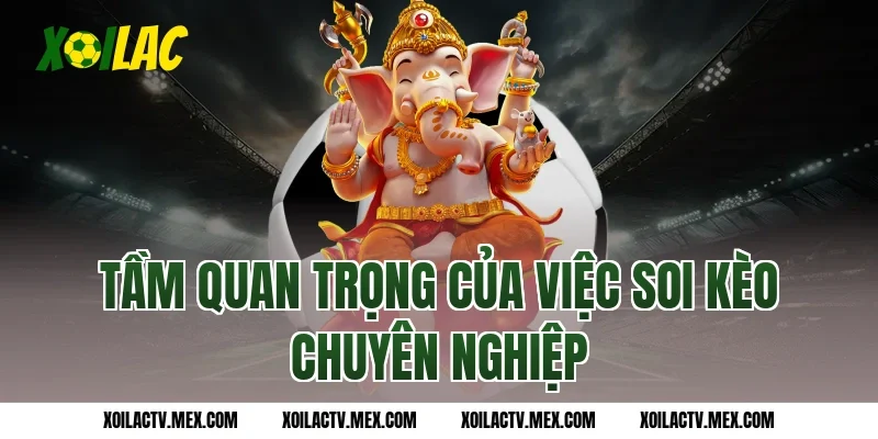Tầm quan trọng của việc soi kèo chuyên nghiệp