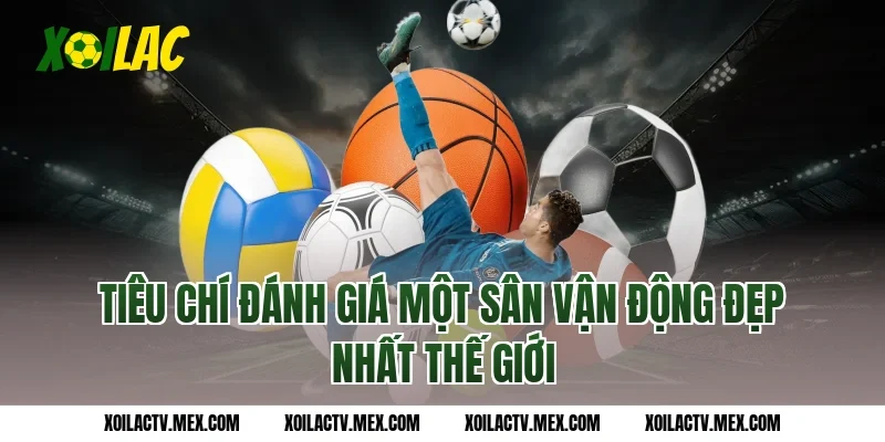 Tiêu chí đánh giá một sân vận động đẹp nhất thế giới