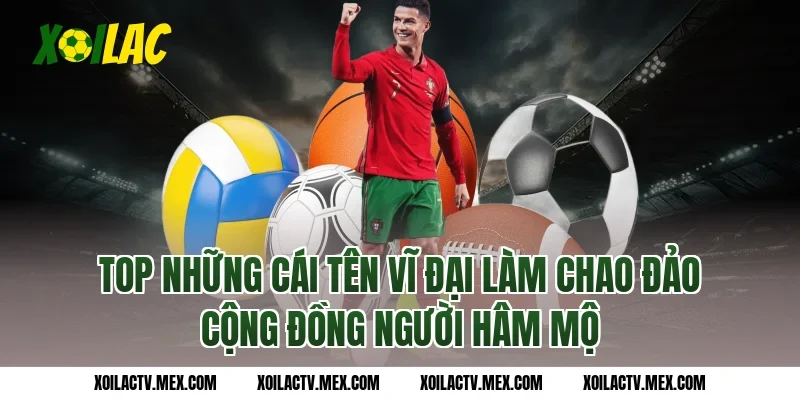 Top những cái tên vĩ đại làm chao đảo cộng đồng người hâm mộ