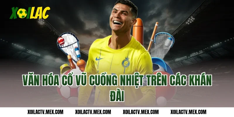 Văn hóa cổ vũ cuồng nhiệt trên các khán đài